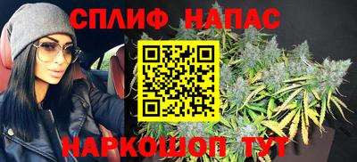 крисы Краснознаменск