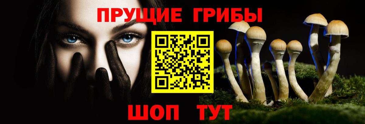 Псилоцибиновые грибы GOLDEN TEACHER Камышин