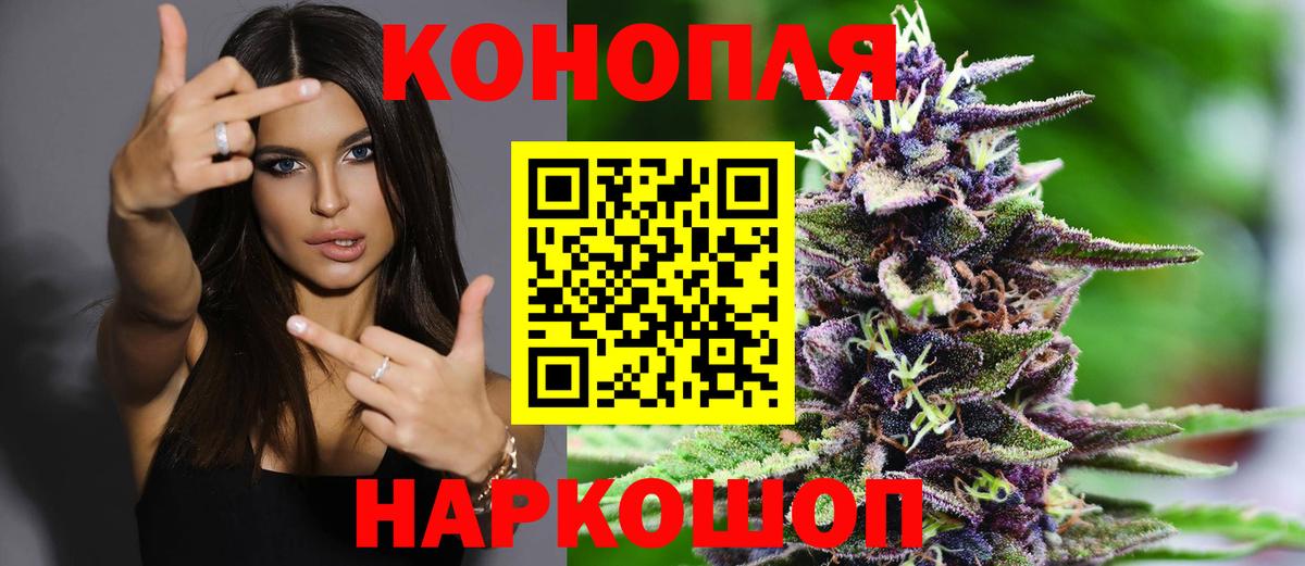 Бошки Шишки сатива  Вход с VPN  Камышин  Канабис White Widow 
